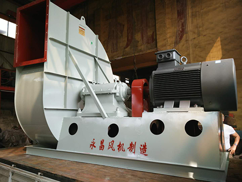 QDVT3073.jpg